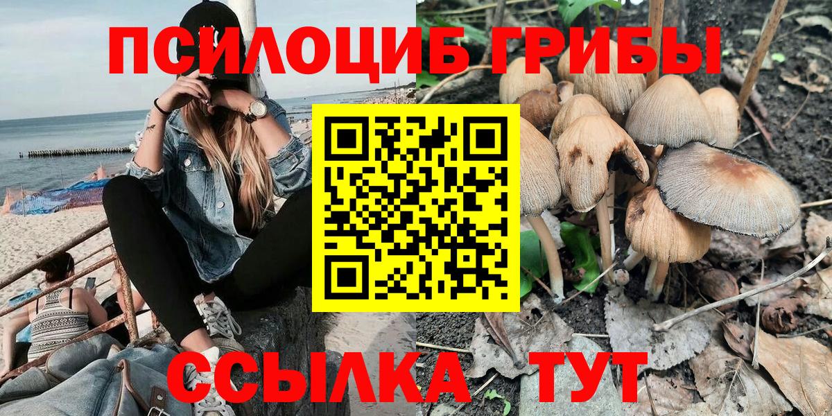 Псилоцибиновые грибы GOLDEN TEACHER  Вход с VPN  Старый Оскол  Псилоцибиновые грибы GOLDEN TEACHER 