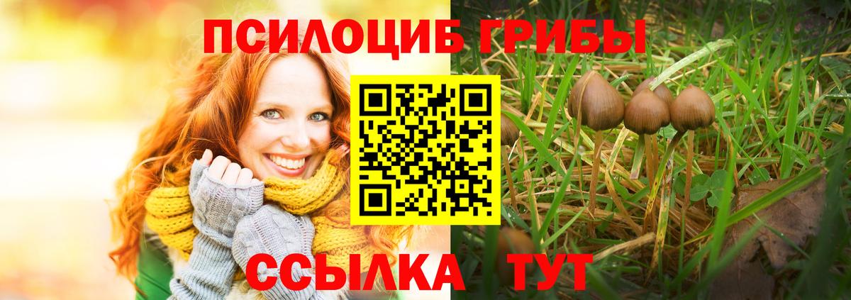 Псилоцибиновые грибы прущие грибы Старый Оскол